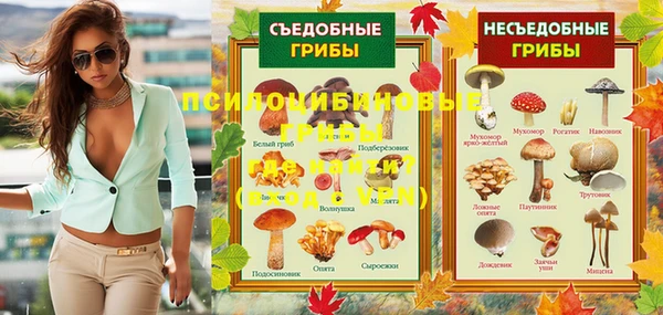 тгк Алексин