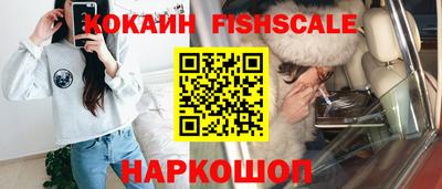 гидропоника Камышлов