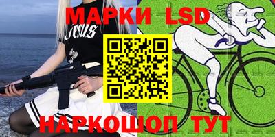 гидропоника Камышлов