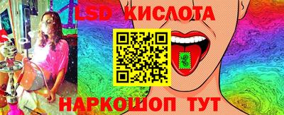 гидропоника Камышлов