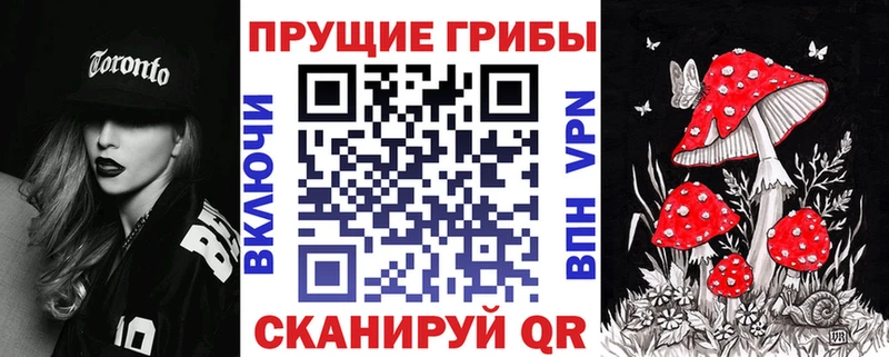 Галлюциногенные грибы Cubensis Мытищи