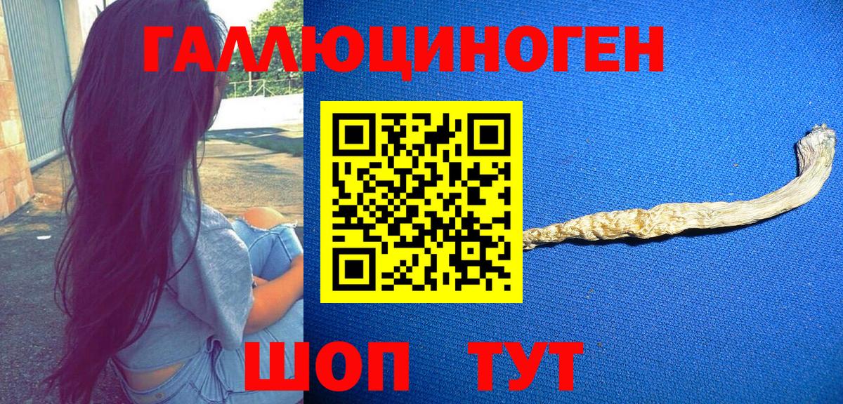 Галлюциногенные грибы прущие грибы  Вход с VPN  наркота  Мытищи 